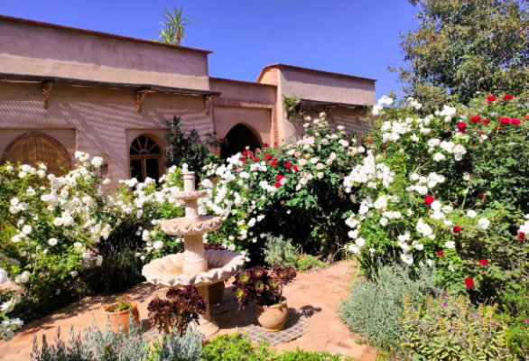 Moroccan retreat image 2